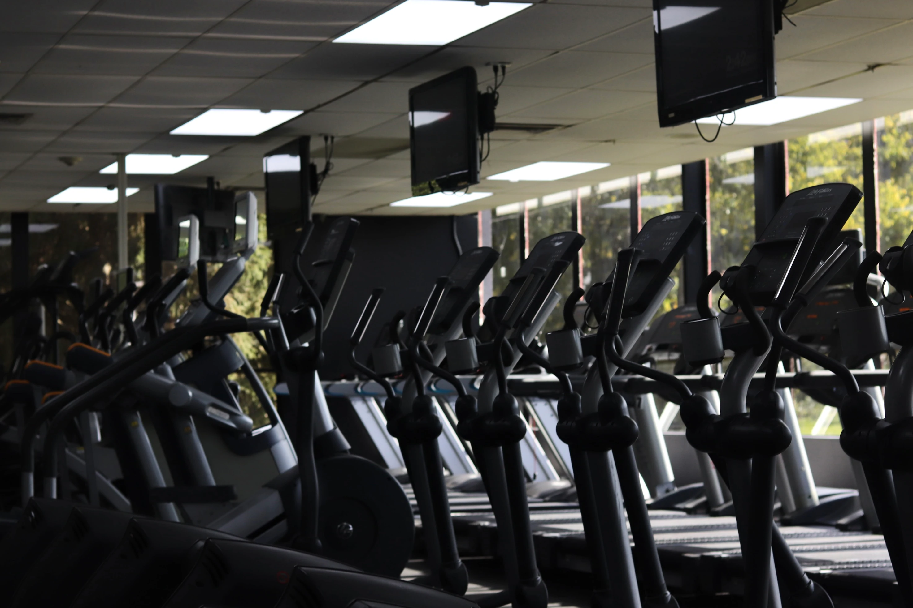 Ellipticals lined up along the windows on the cardio floor at XCEL Sports & Fitness in Fairfield, NJ