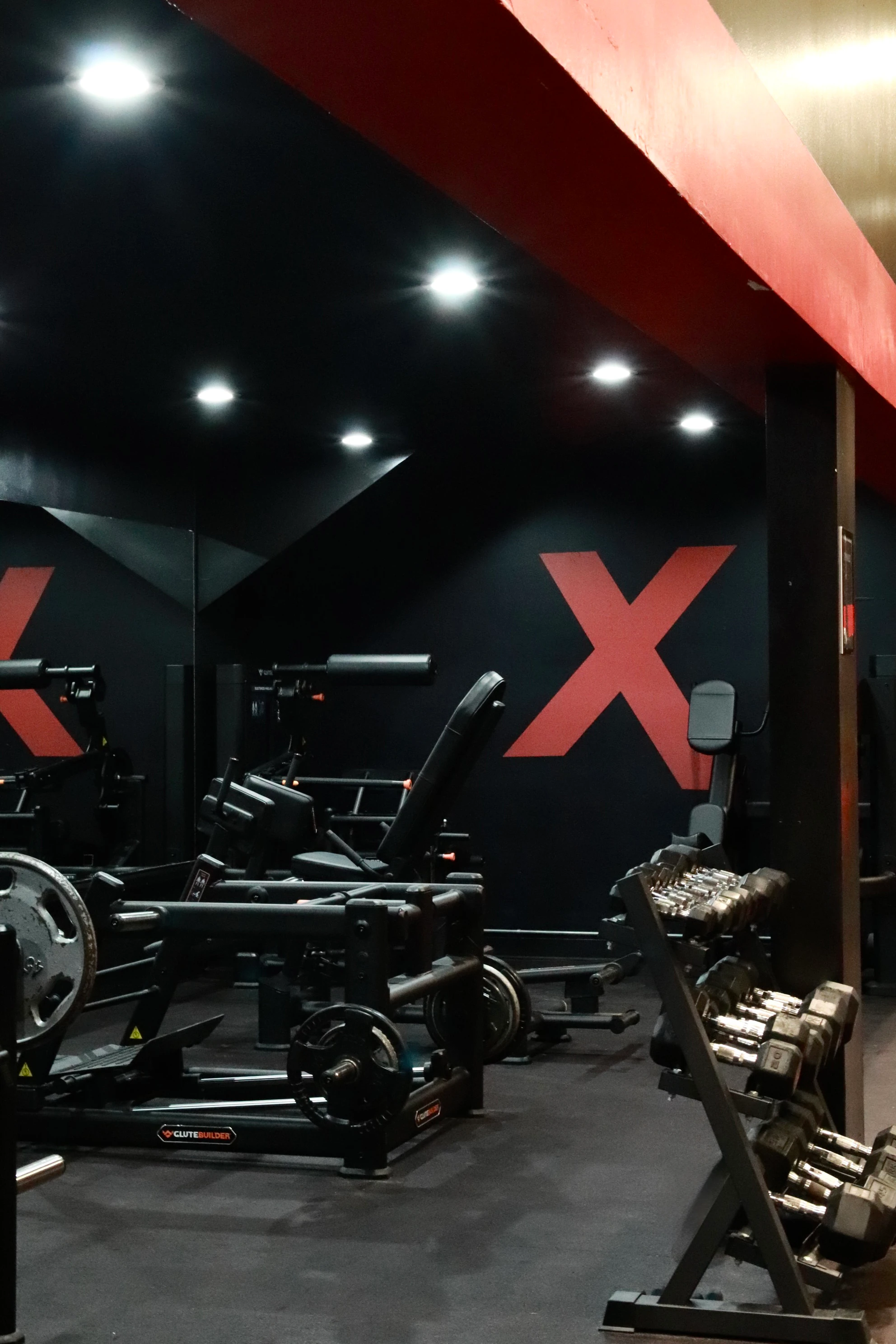 Plate-loaded machines and dumbbells under the red X wall at XCEL Sports & Fitness in Fairfield, NJ