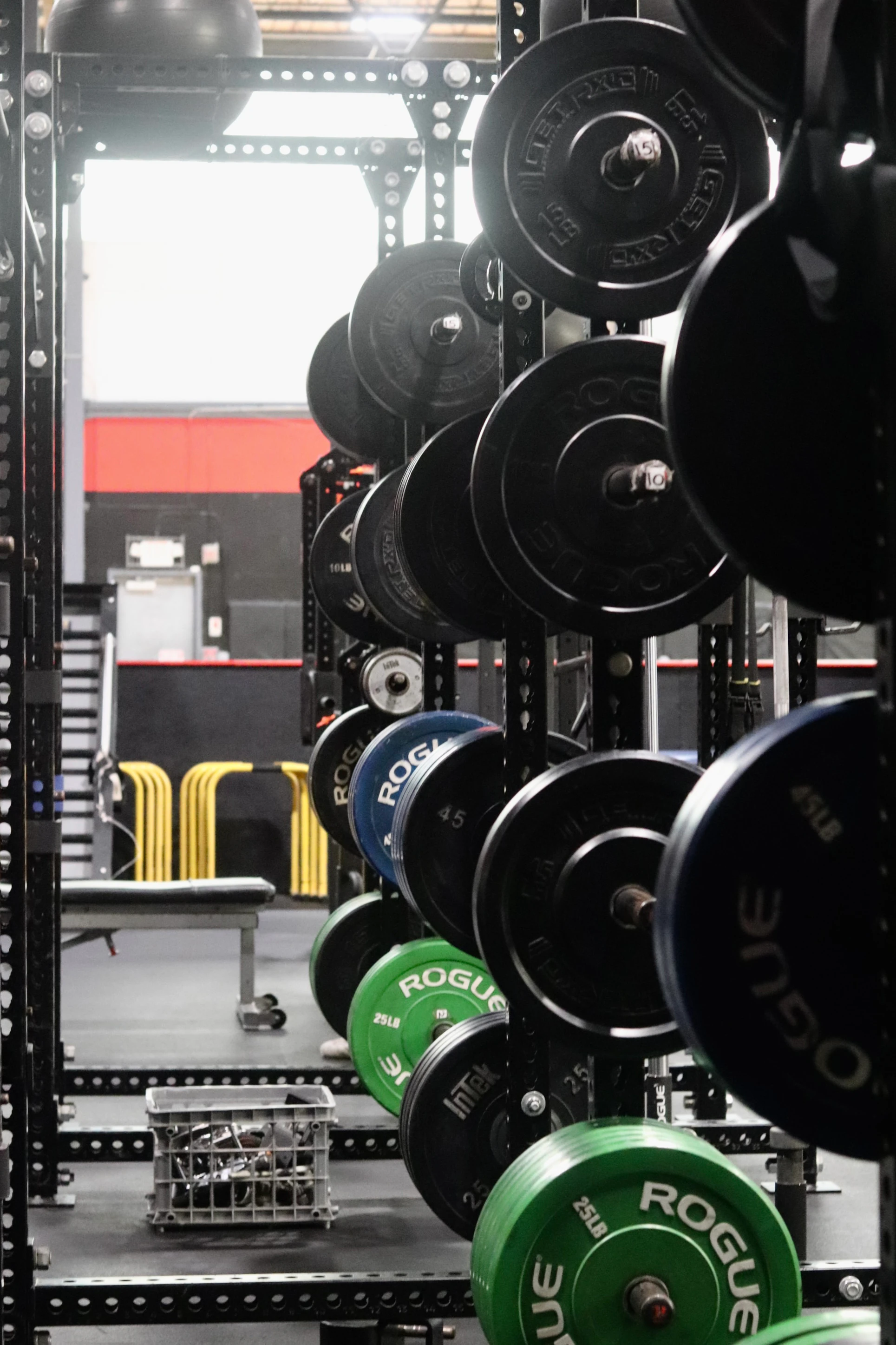 Rogue bumper plates stacked on a rig in the performance area at XCEL Sports & Fitness in Fairfield, NJ