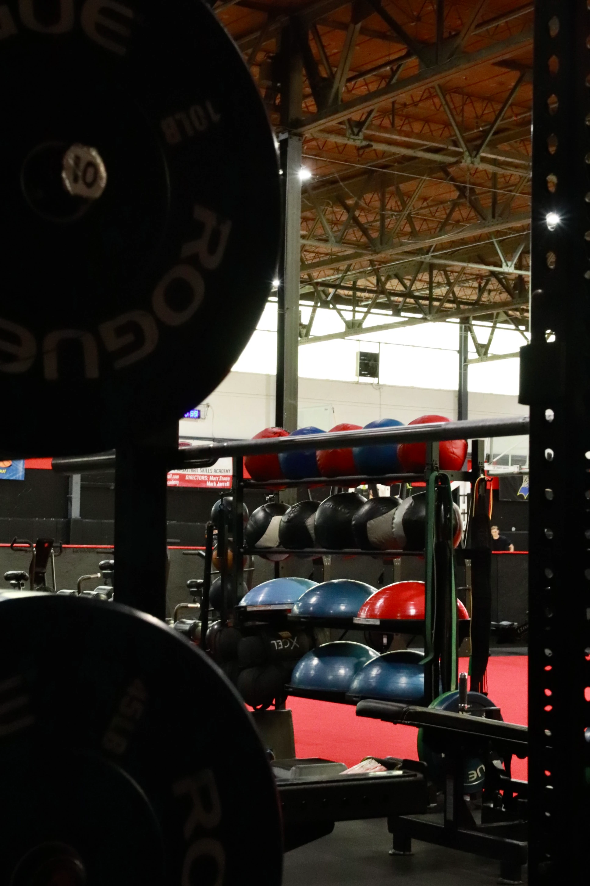 Rogue plates in front of medicine balls and the red turf at XCEL Sports & Fitness in Fairfield, NJ