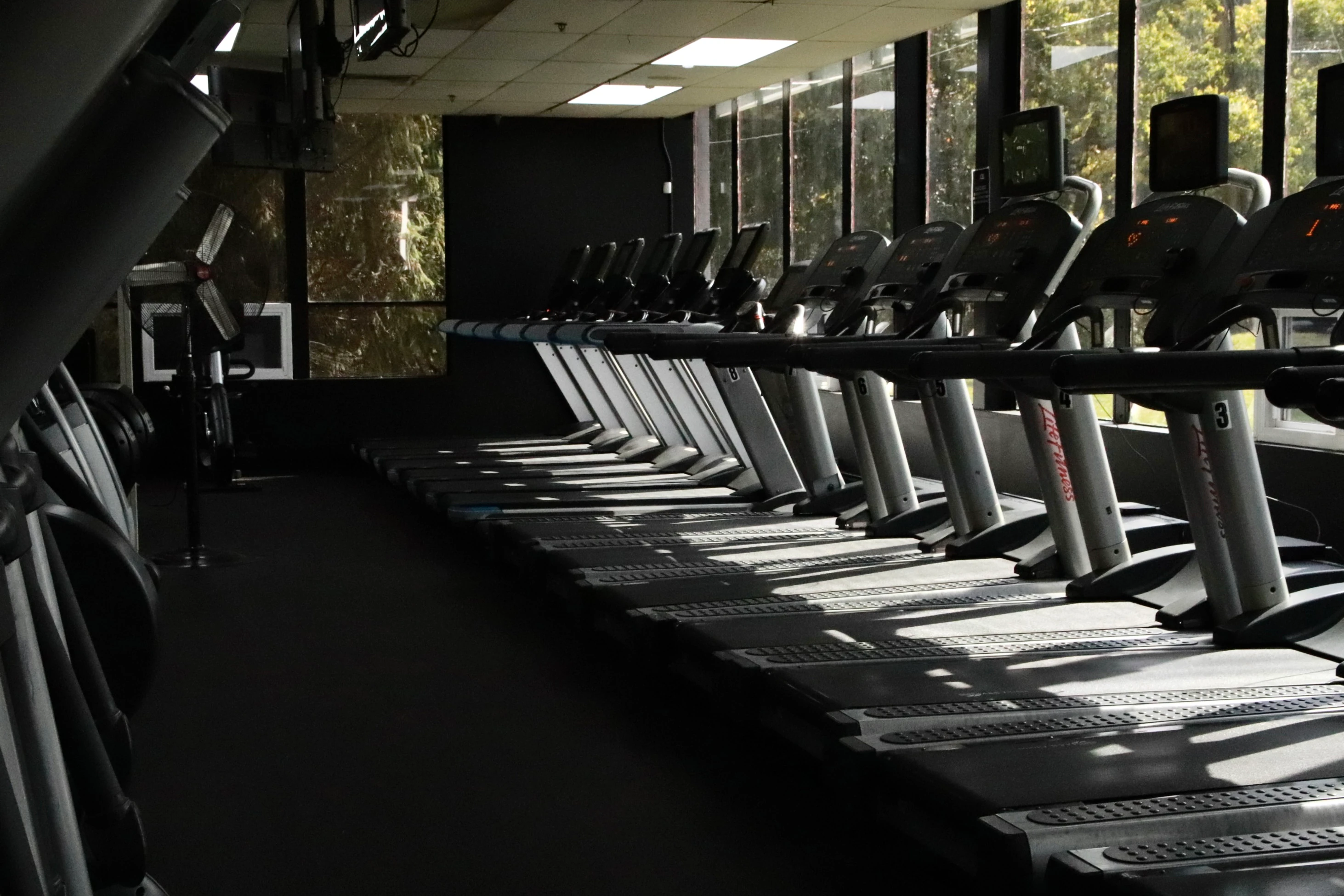 Row of treadmills in the afternoon sun on the cardio floor at XCEL Sports & Fitness in Fairfield, NJ