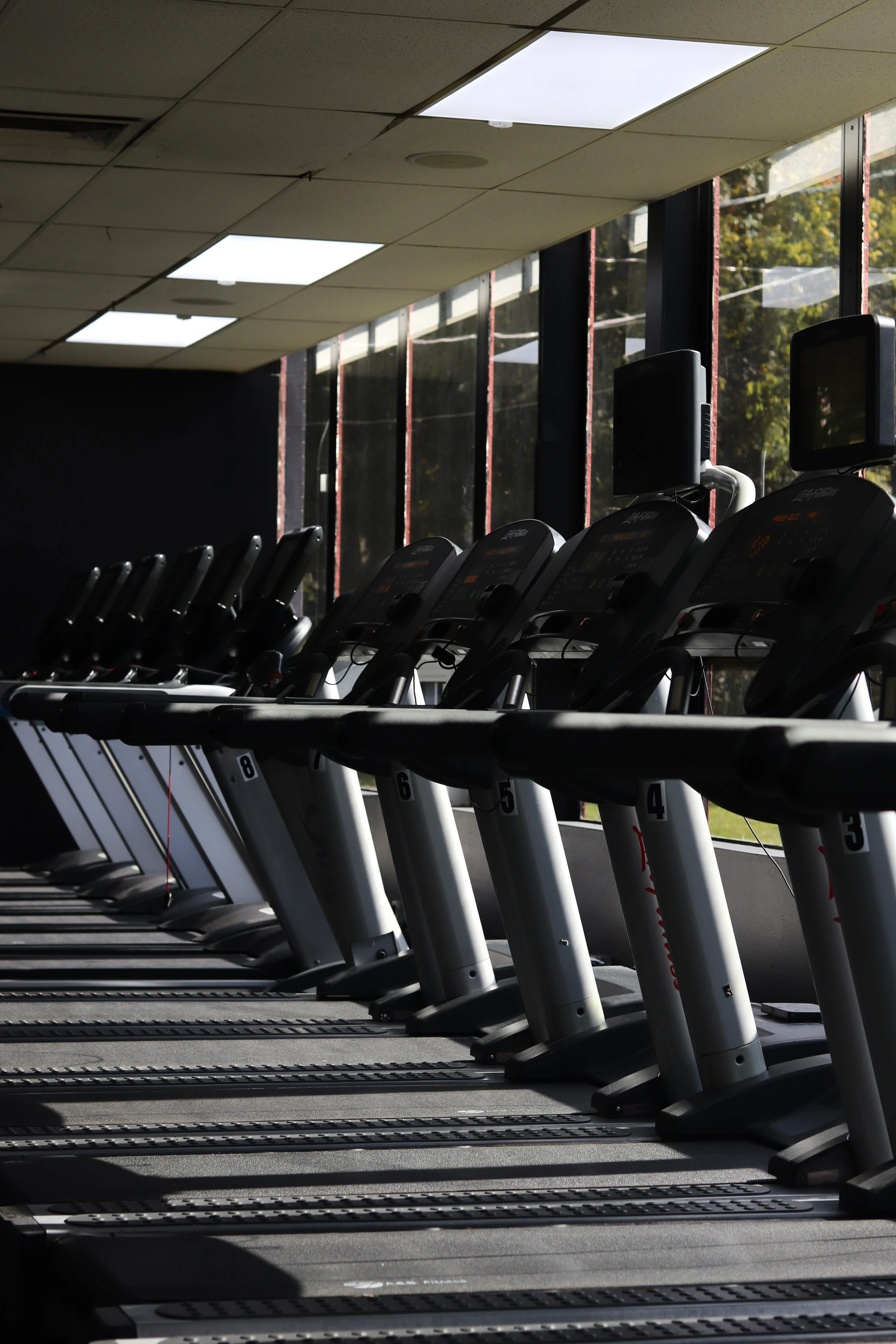 Long row of treadmills by the windows at XCEL Sports & Fitness, a gym in Fairfield, NJ