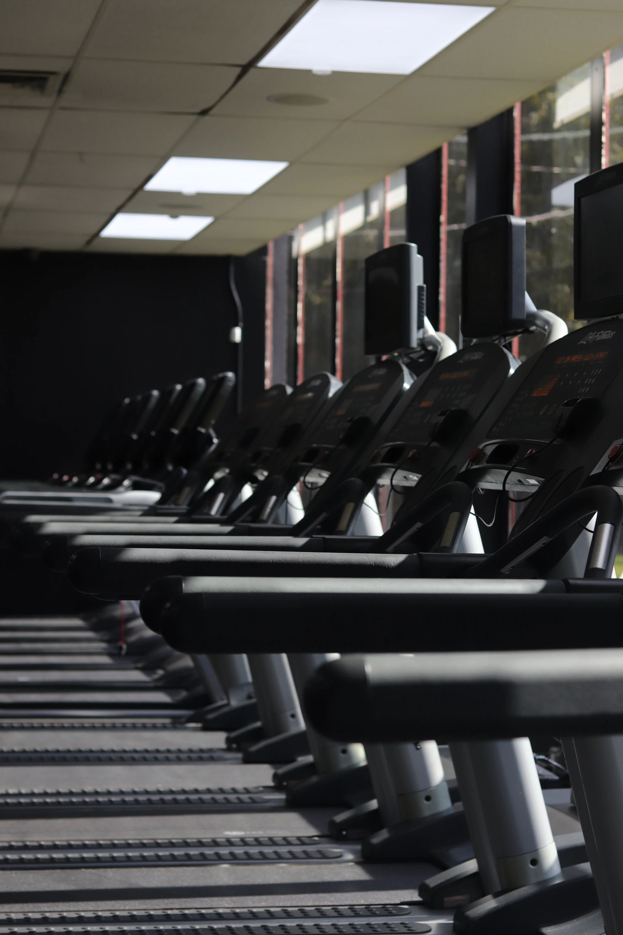 Treadmills lined up in the window light on the cardio floor at XCEL Sports & Fitness in Fairfield, NJ